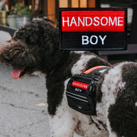 Handsome Boy Embroidered Patch Hook and Loop Tactical Badge