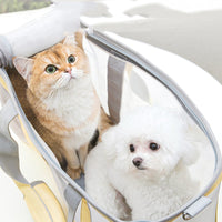 Transparent Cat Carrier, Dog Carrier, Pet Carrier, Portable Hand Bag Carrier for Small to Medium Cat and Small Dog