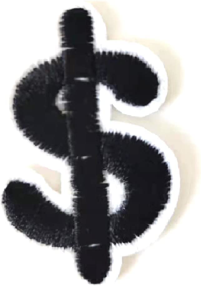 5Pcs Dollars Embroidered Iron on Patch for Clothes, Iron-on Patches / Sew-on Appliques Patches for Clothing, Jackets, Backpacks, Caps, Jeans