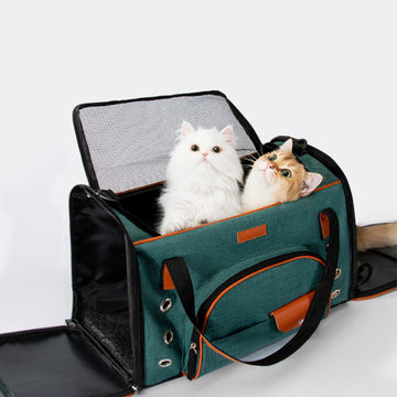 New Design Fashionable Cat Carrier, Dog Carrier, Pet Carrier, Portable Hand Bag Carrier for Small to Medium Cat and Small Dog