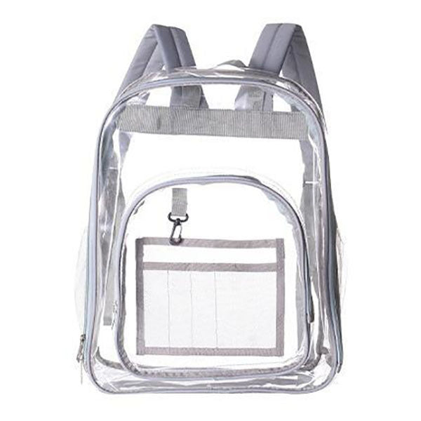 Transparent Carry Bag